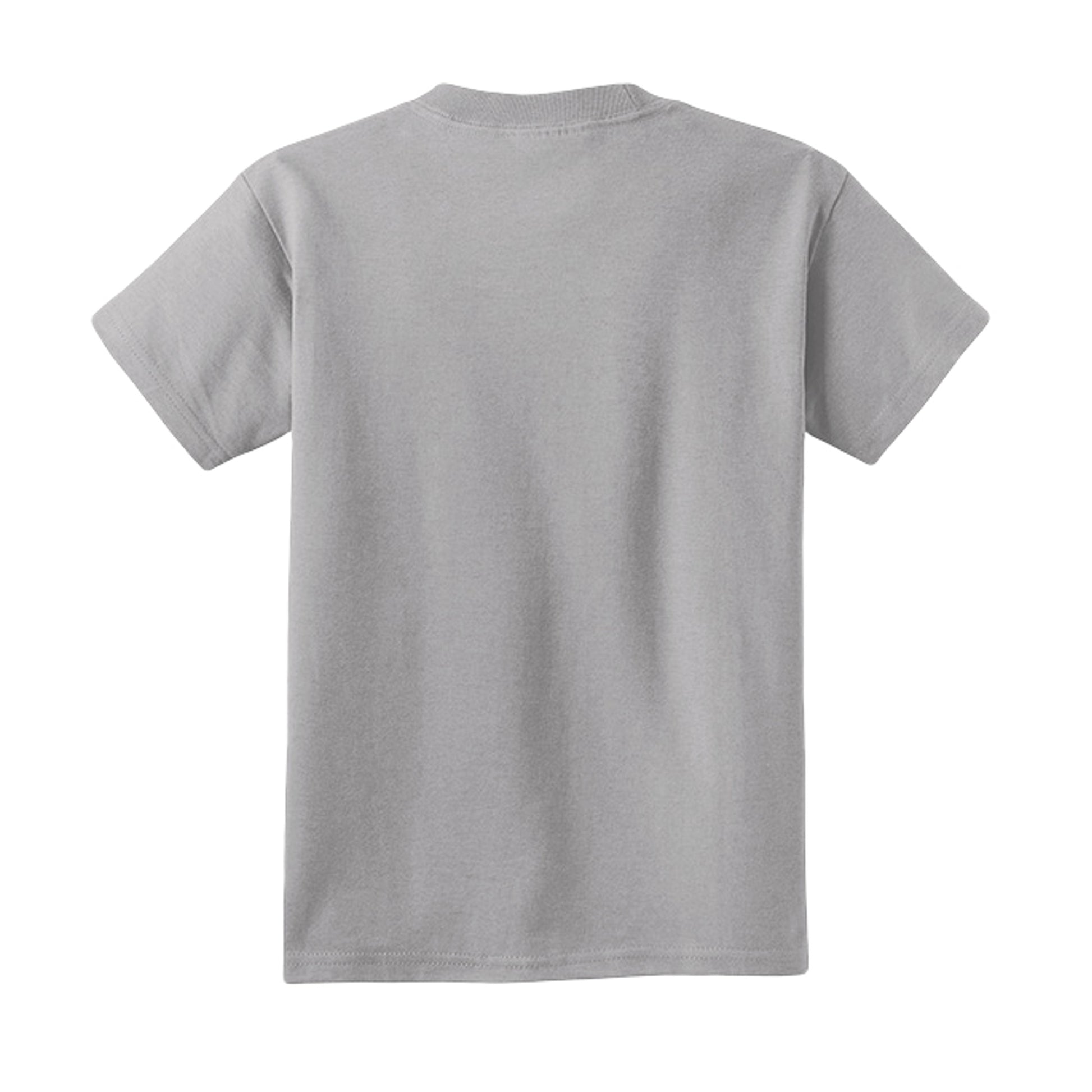 Silver - PC54Y - BACK